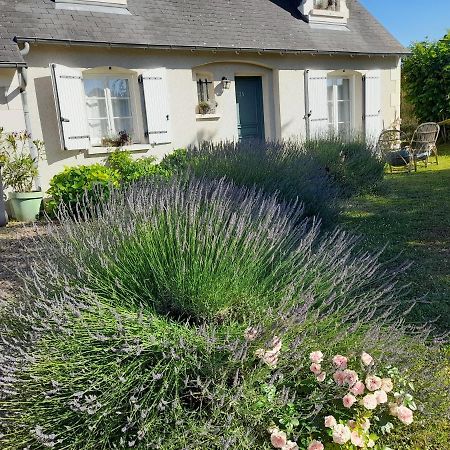 Maison De Marie Blere 外观 照片